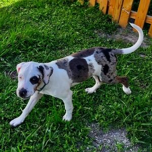 Meet your Posher, Kevin